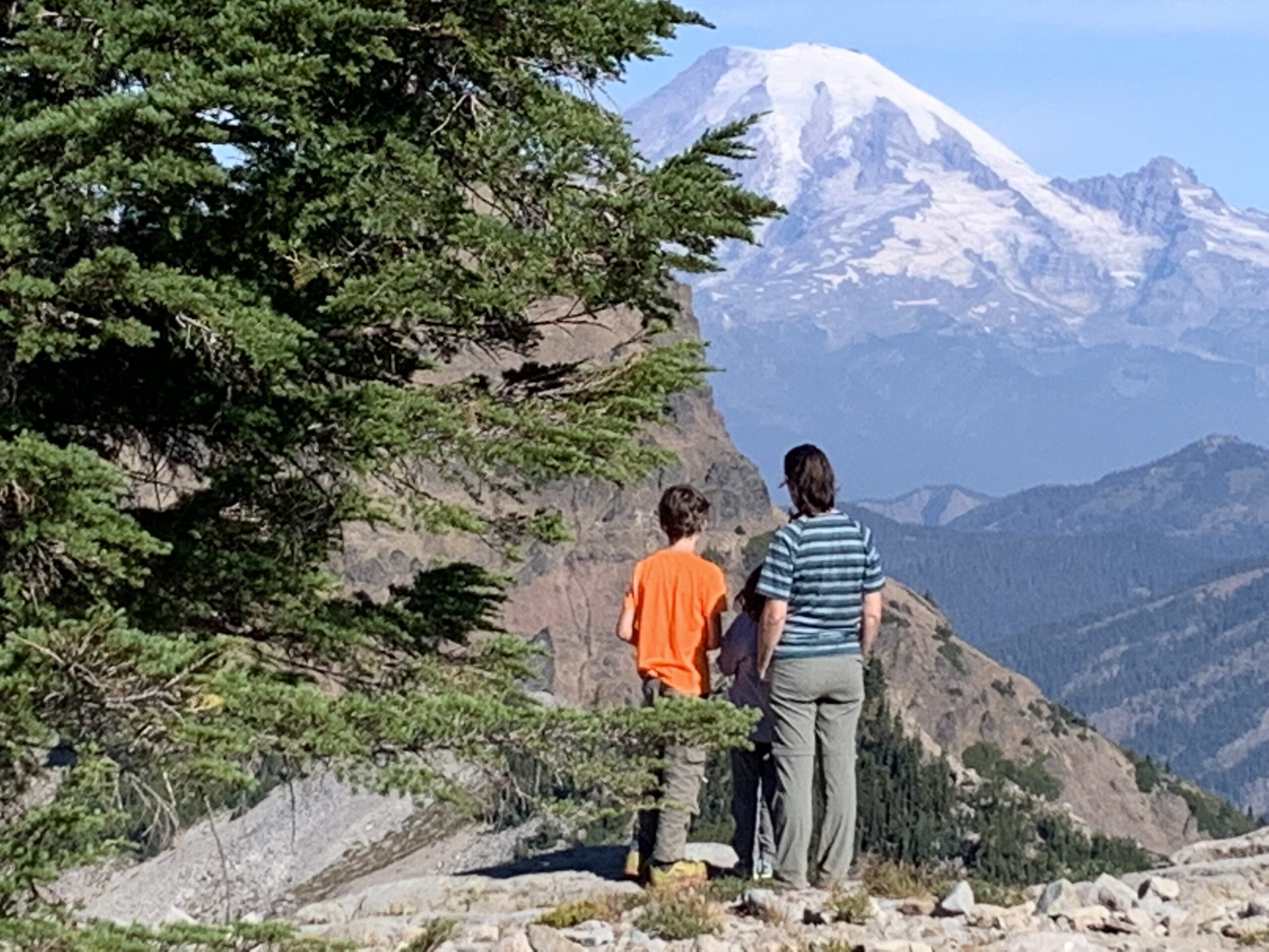 Featured image for “Support Team A”