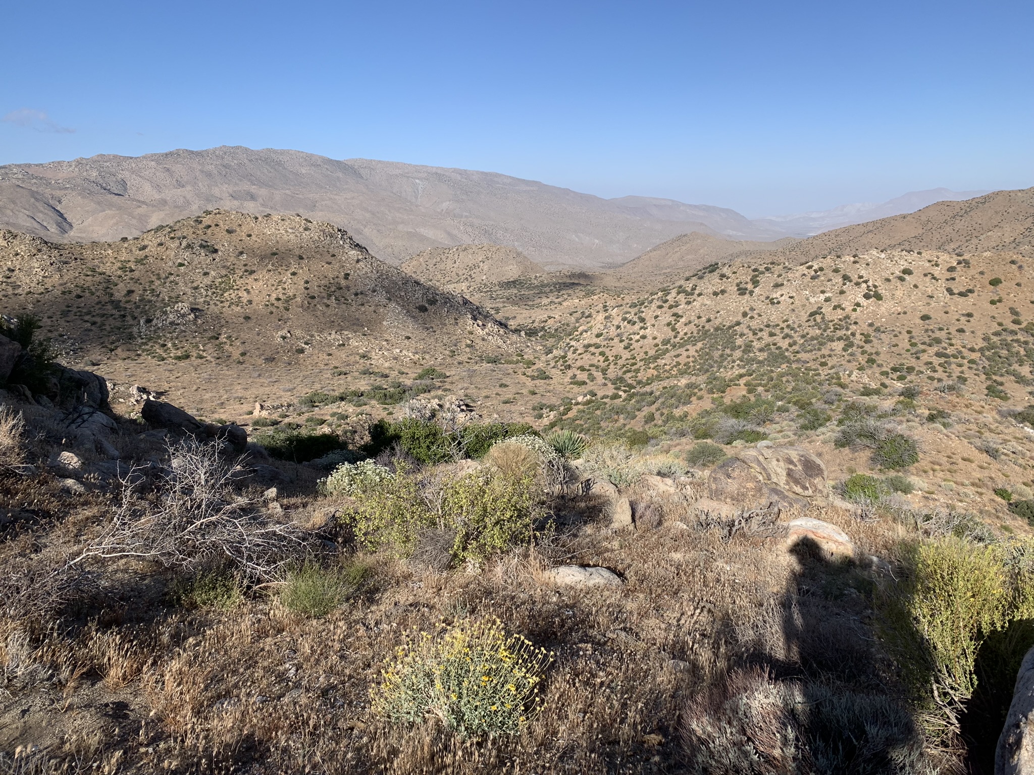 Featured image for “A Ton of Miles!”