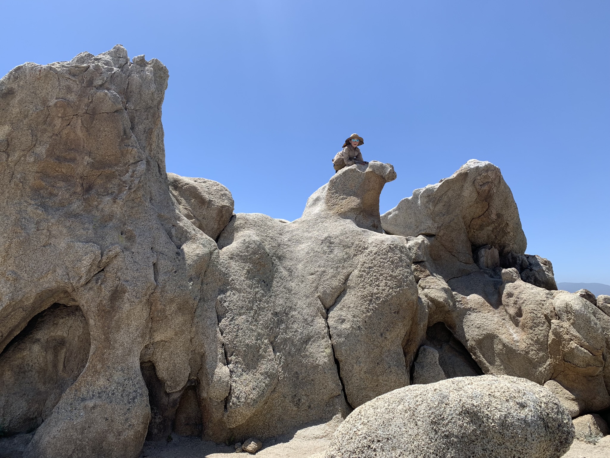 Featured image for “Fly Like An Eagle”