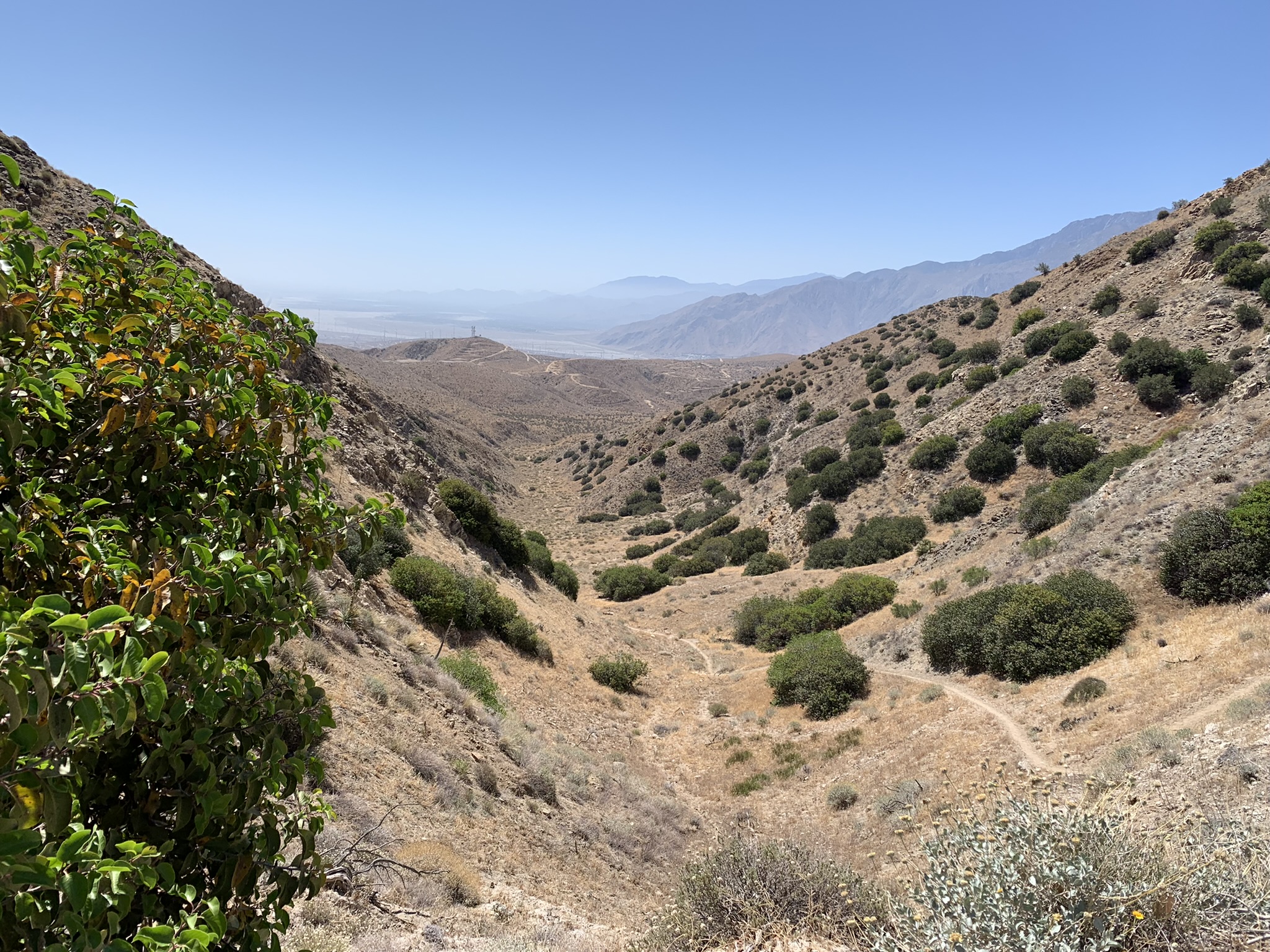 Featured image for “Section C”