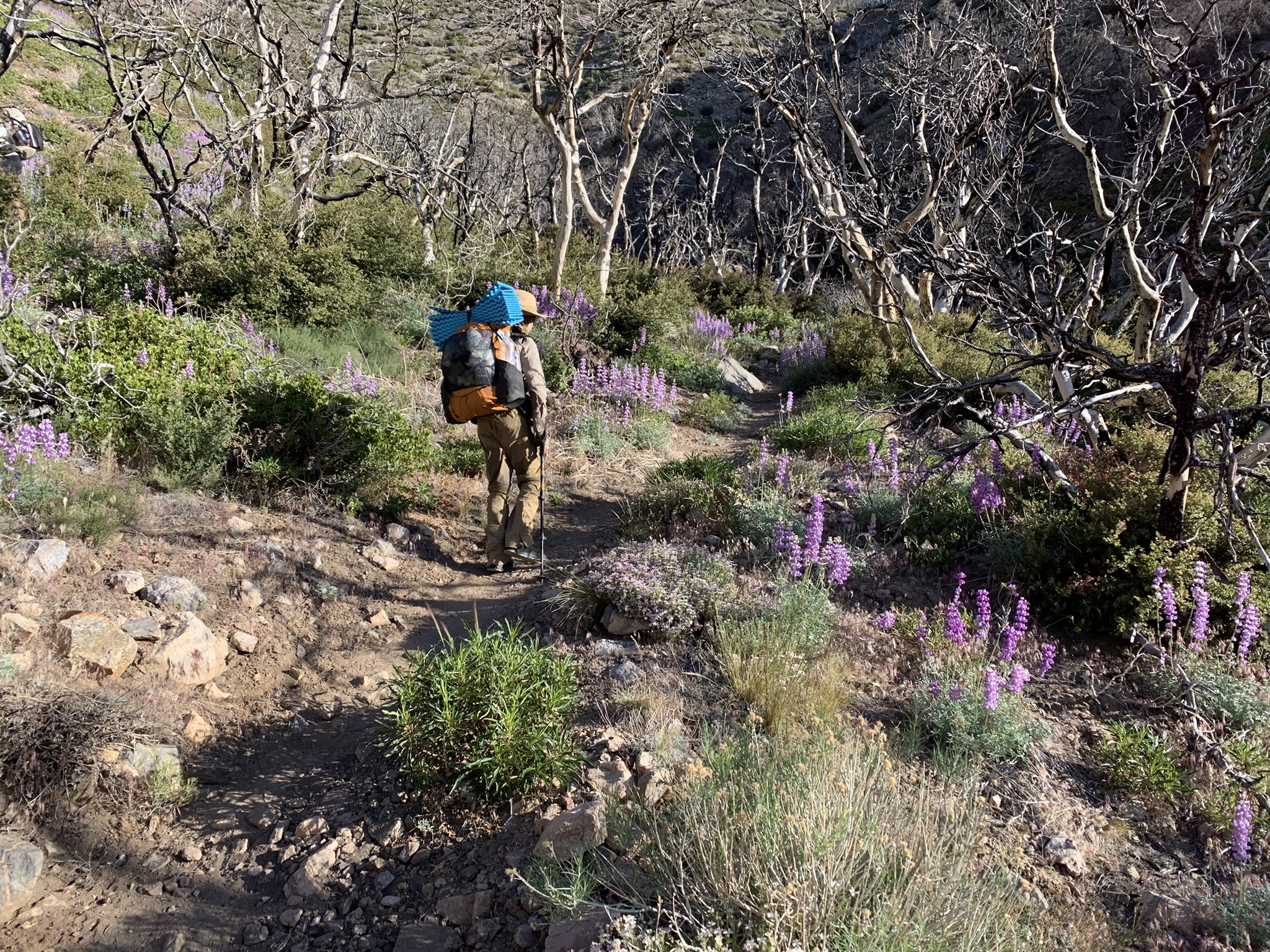 Featured image for “Gaining Elevation and Miles”