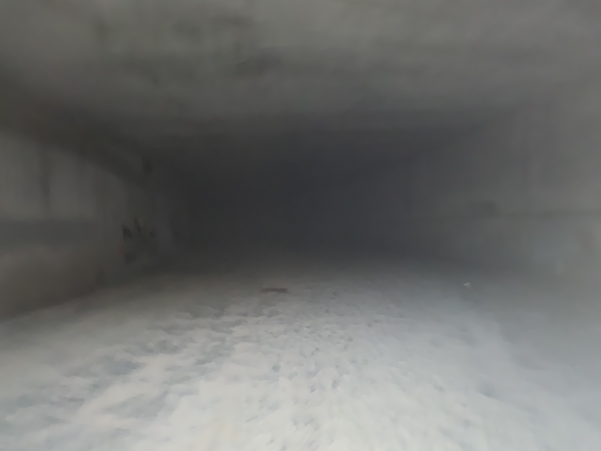 Featured image for “Section D Portal”