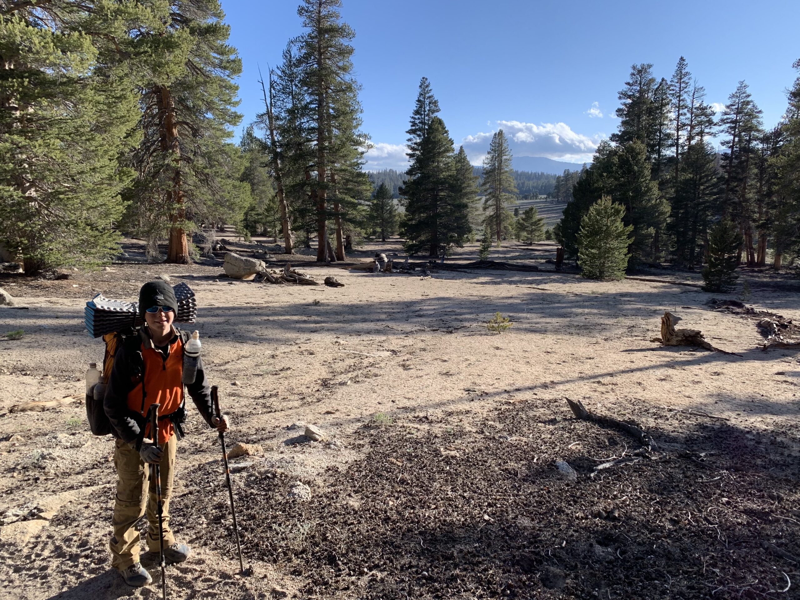 Featured image for “Back Side of the Sierras”