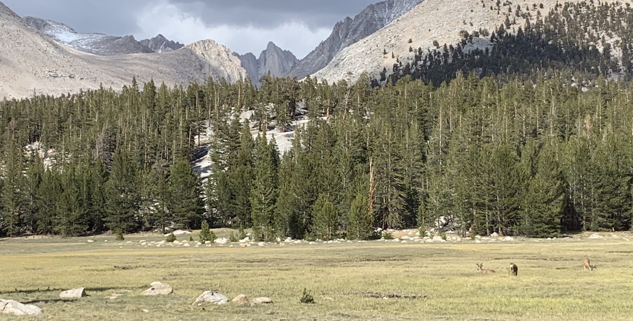 Featured image for “Mt. Whitney Base Camp”