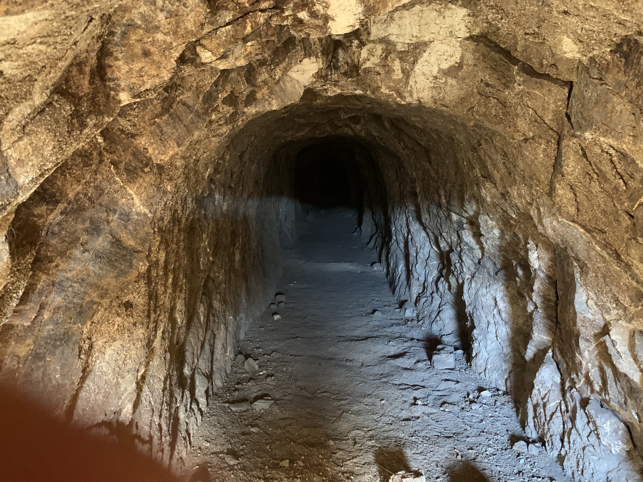 Featured image for “Goldmine!”