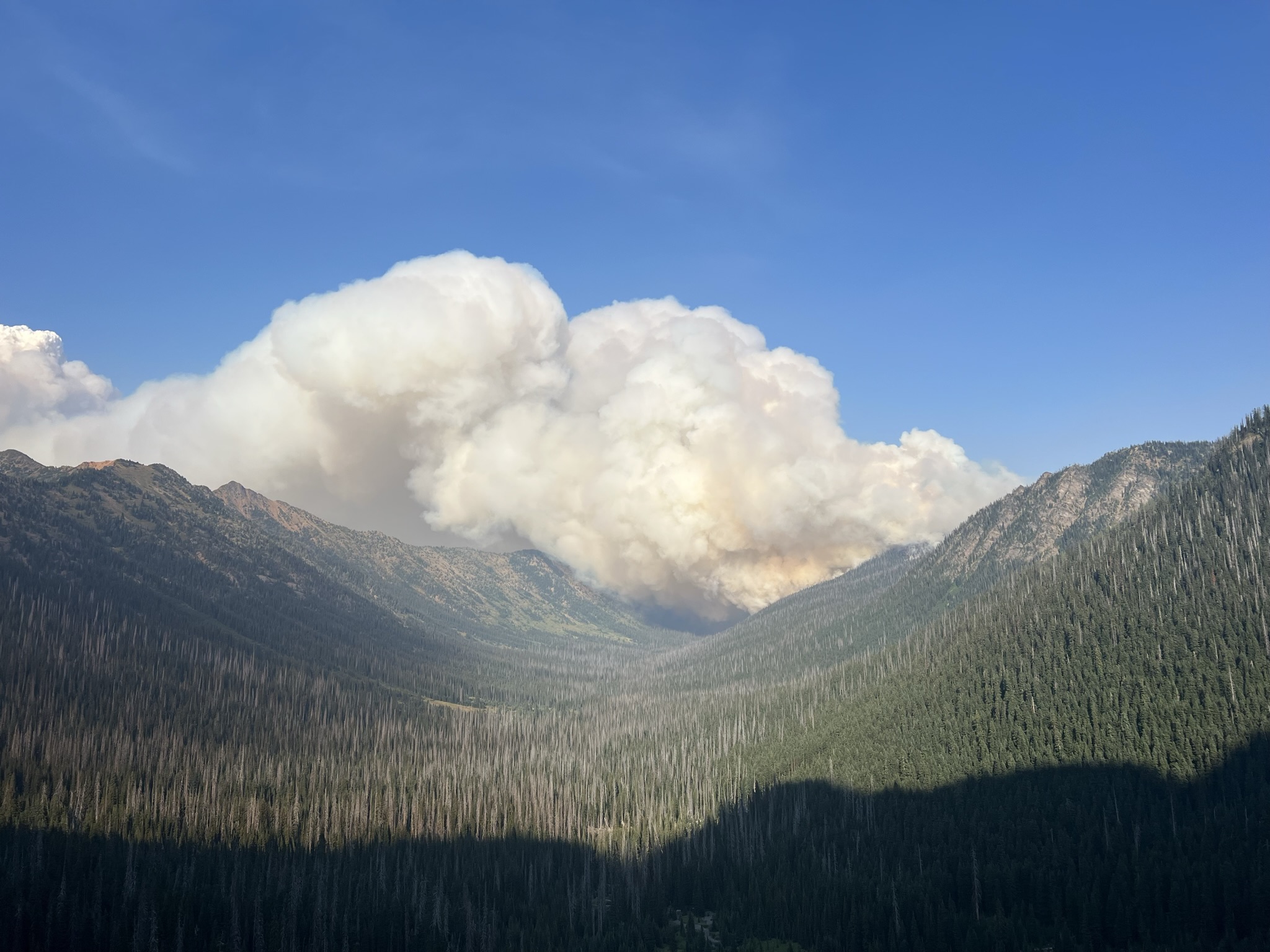 Featured image for “Wildfires!”