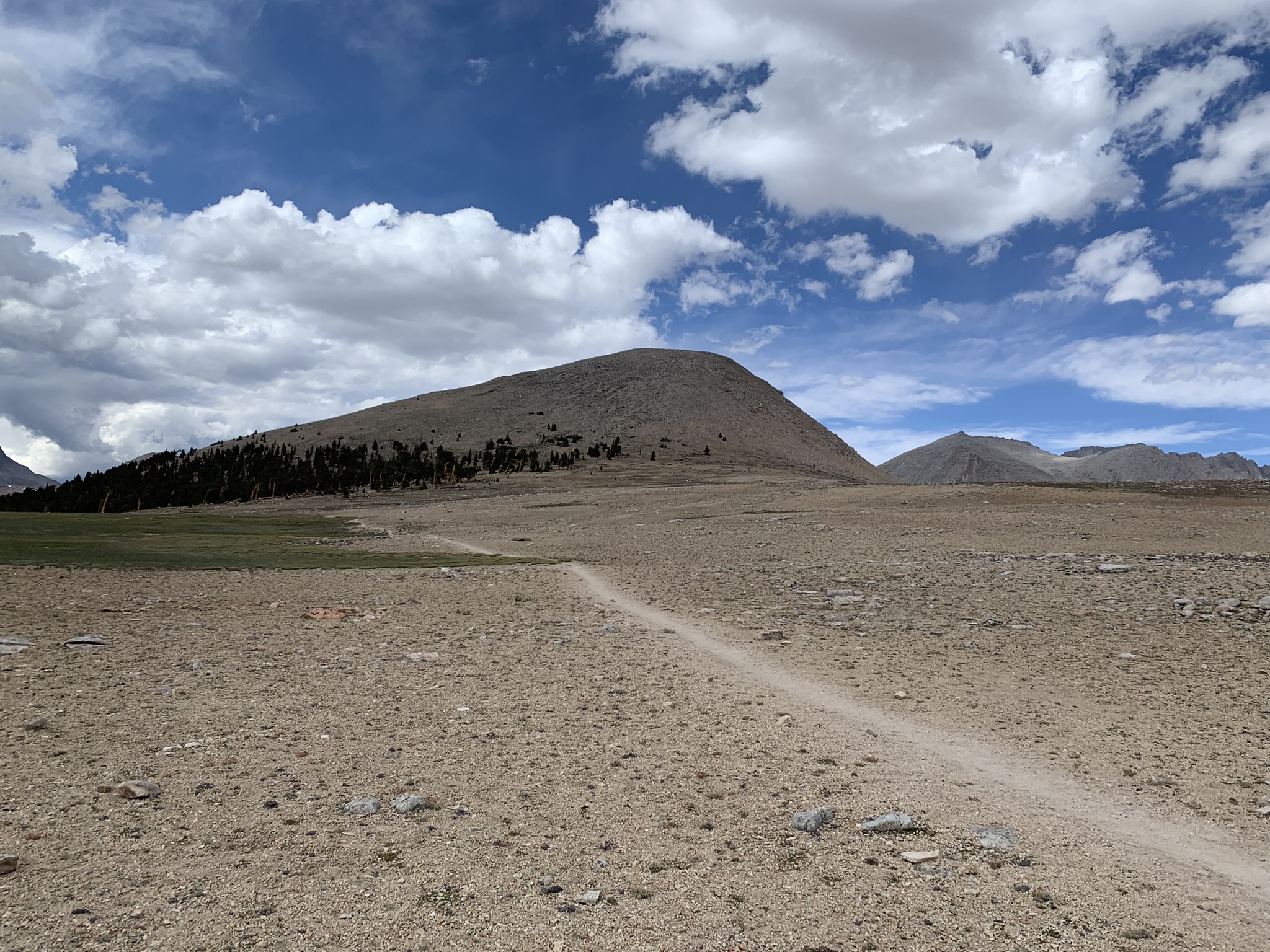 Featured image for “Bighorn Plateau”